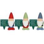Weather Forecasting Gnome Garden Gift Something Different